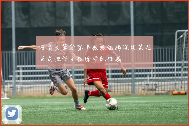 河南女篮新赛季教练组揭晓埃莱尼正式担任主教练带队征战